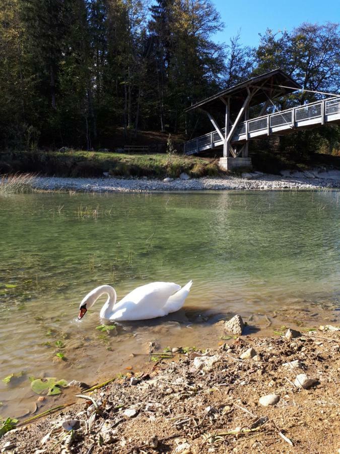 Le Charme Des 2 Lacs Malbuisson Exteriér fotografie